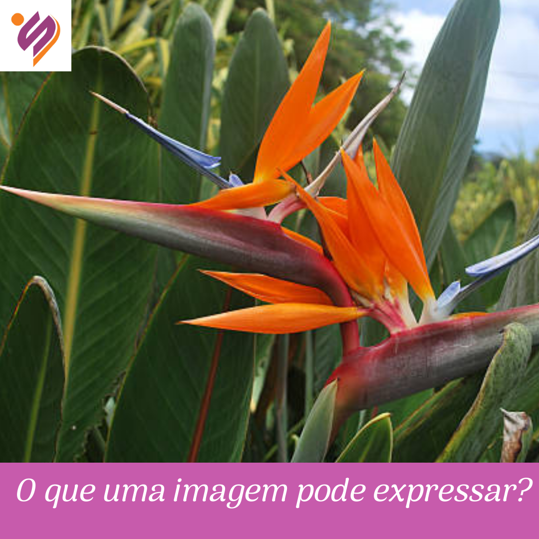 As aparências enganam!