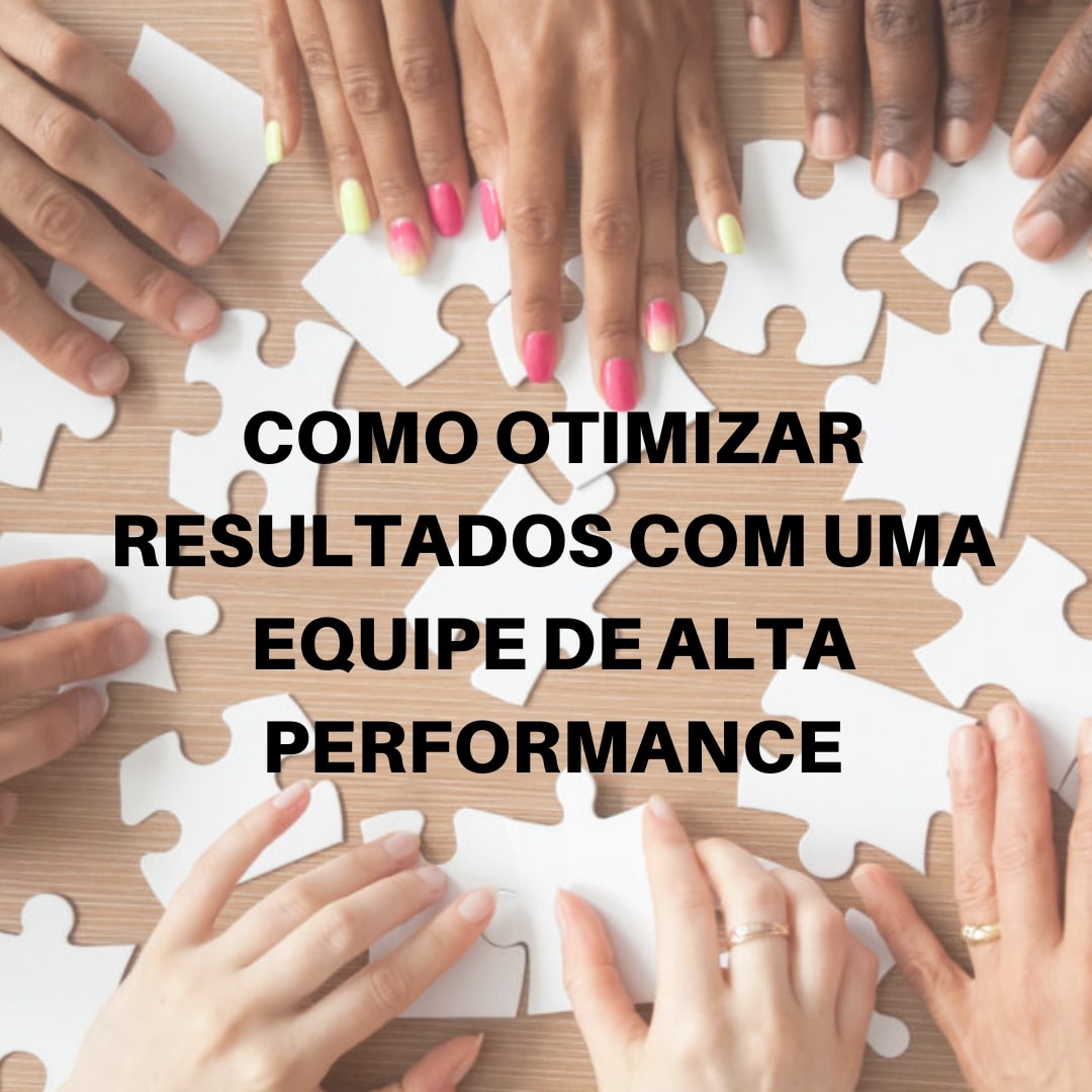 Estruturação do Negócio com desenvolvimento de Equipe de Alta Performance