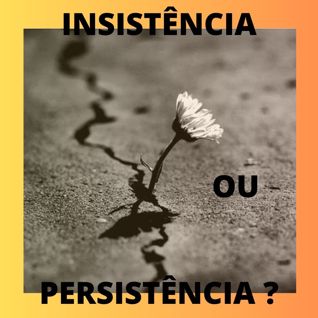Insistência ou Persistência: qual a melhor forma de atingir os objetivos?