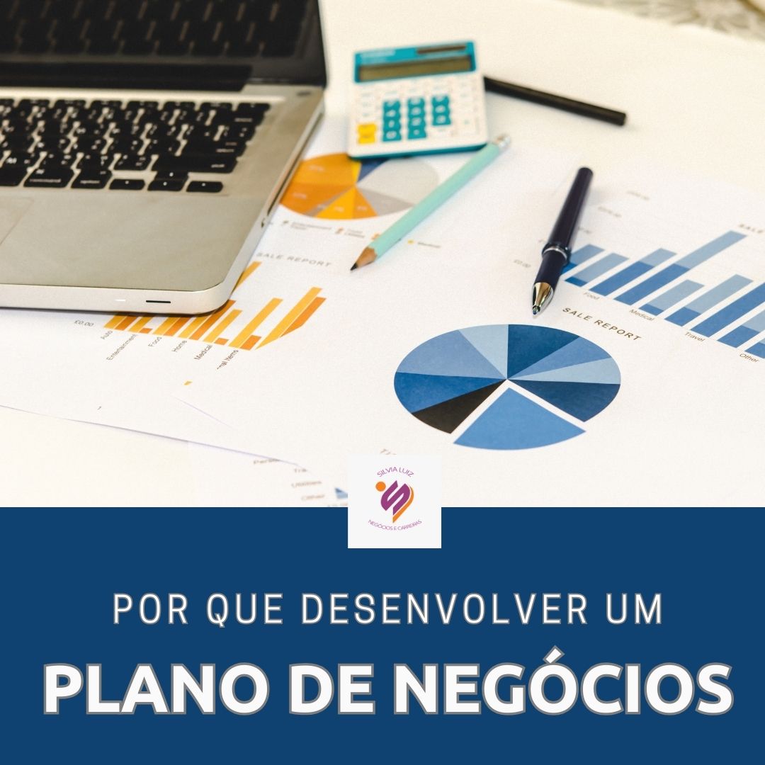 Plano De NegÓcios Clareza E Assertividade Silvia Luiz Negócios E